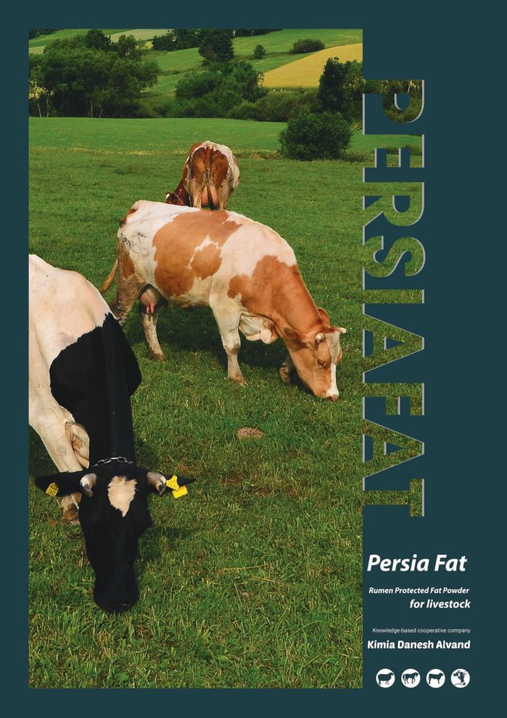 Persia Fat Calcium