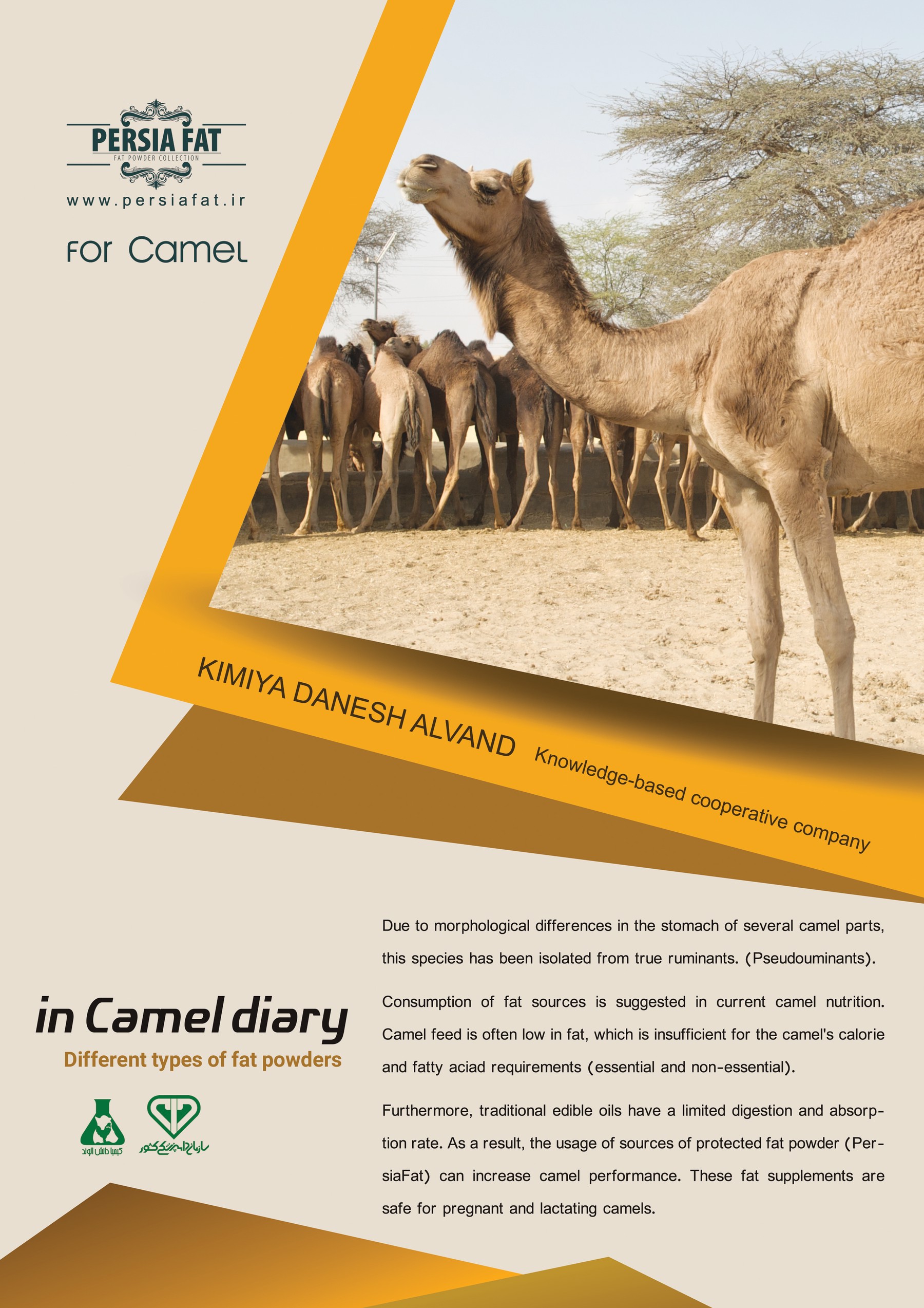 Persiafat Camel